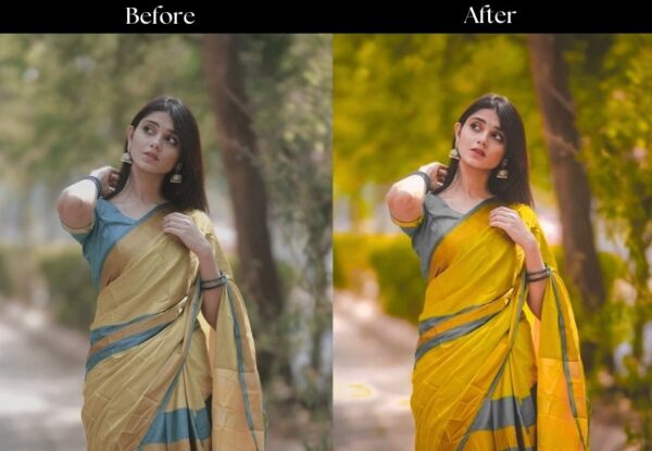 100+ Indian Wedding Presets - Image 44
