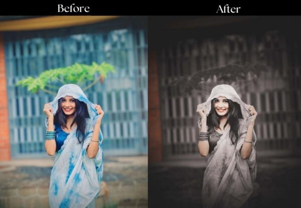 100+ Indian Presets - Image 62