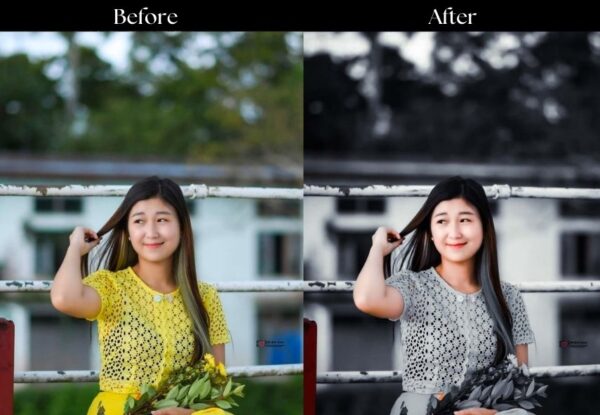 100+ Indian Presets - Image 63
