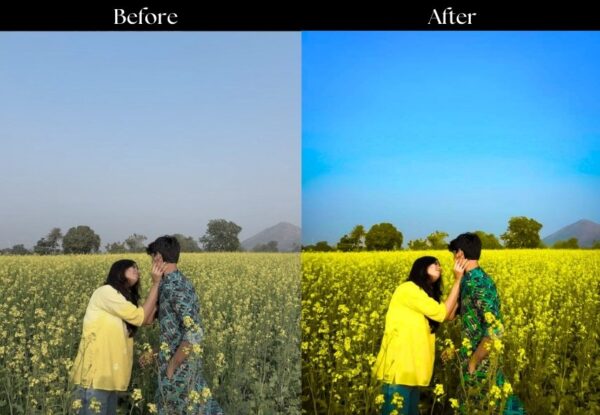 100+ Indian Wedding Presets - Image 43