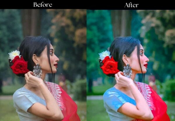 100+ Indian Wedding Presets - Image 42