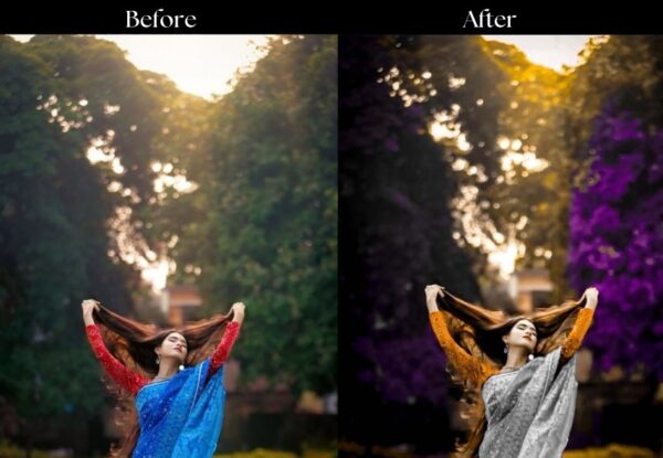 100+ Indian Presets - Image 49