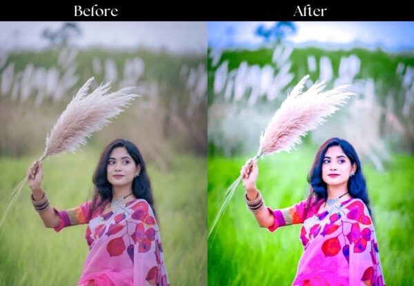 100+ Indian Presets - Image 48