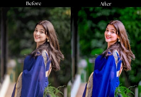 100+ Indian Presets - Image 40
