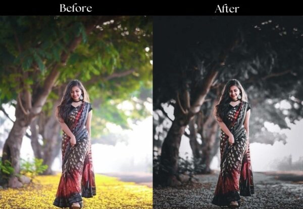 100+ Indian Wedding Presets - Image 41