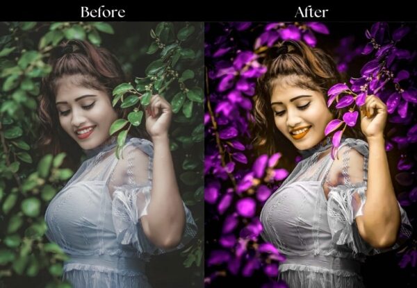 100+ Indian Presets - Image 44