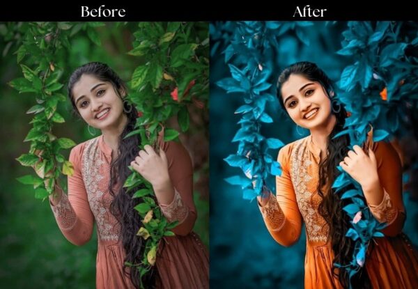100+ Indian Presets - Image 45