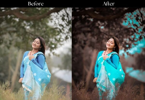 100+ Indian Wedding Presets - Image 40