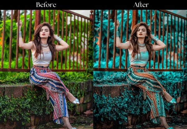 100+ Indian Presets - Image 47