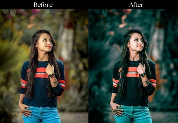 100+ Indian Presets - Image 39