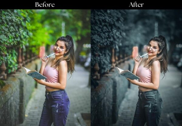 100+ Indian Presets - Image 38