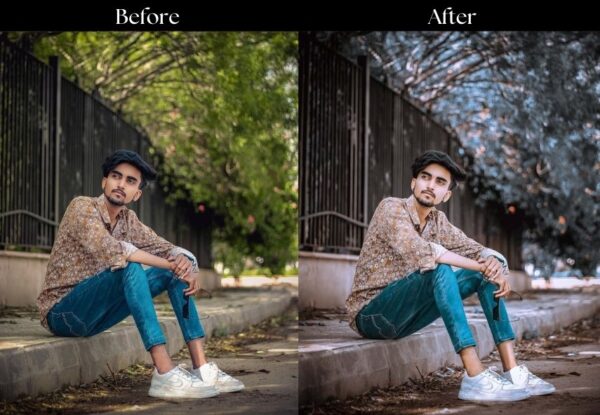 100+ Indian Presets - Image 35