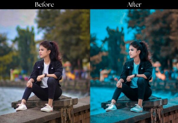 100+ Indian Presets - Image 34