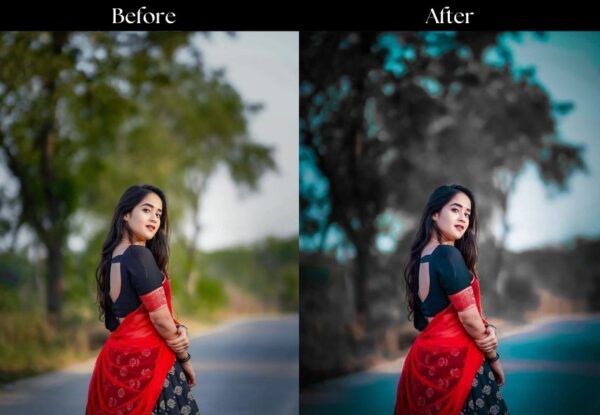 100+ Indian Wedding Presets - Image 39
