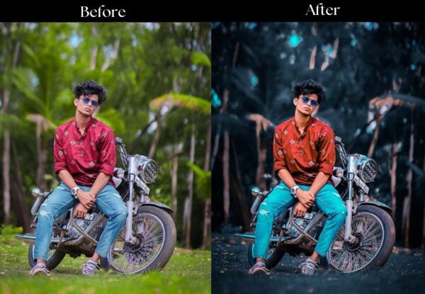 100+ Indian Presets - Image 26