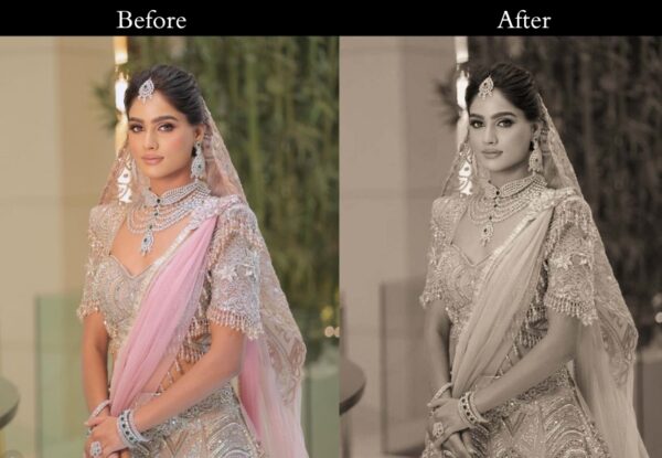 100+ Indian Wedding Presets - Image 22