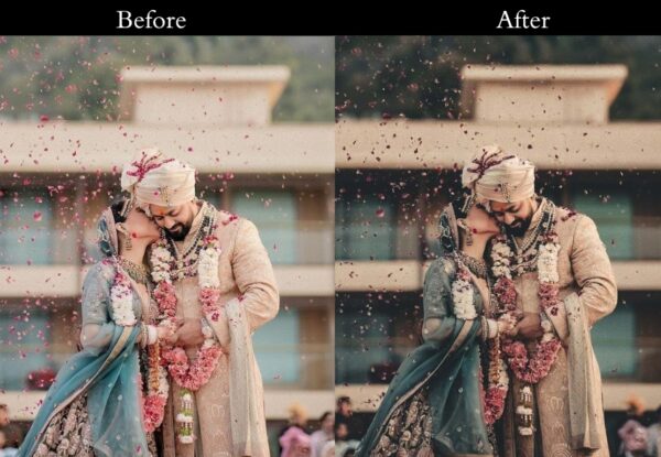 100+ Indian Wedding Presets - Image 6