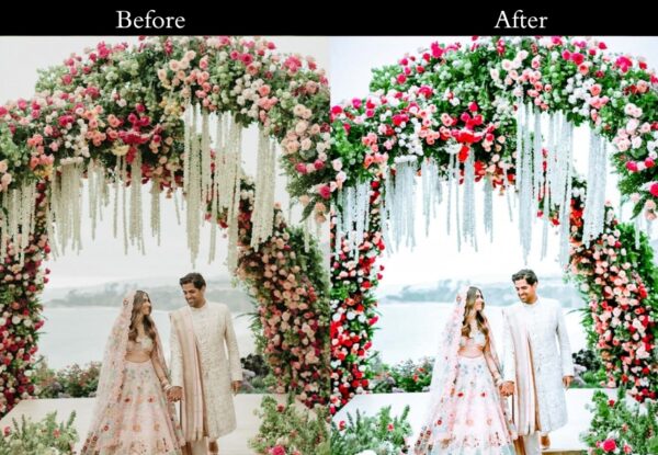 100+ Indian Wedding Presets - Image 34