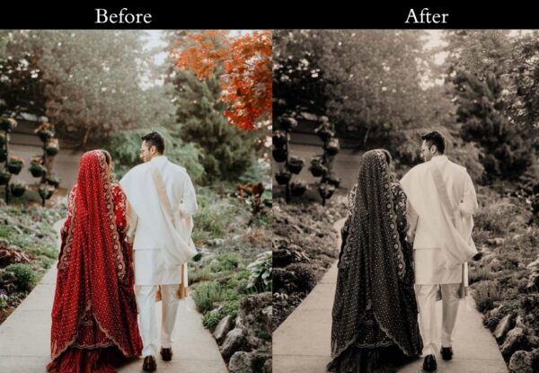 100+ Indian Wedding Presets - Image 18