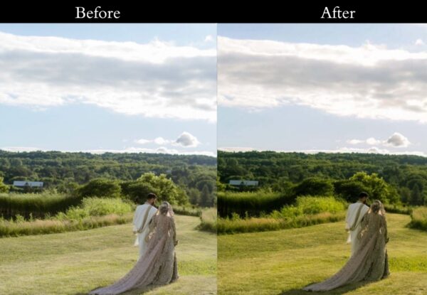 100+ Indian Wedding Presets - Image 20