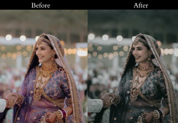 100+ Indian Wedding Presets - Image 25