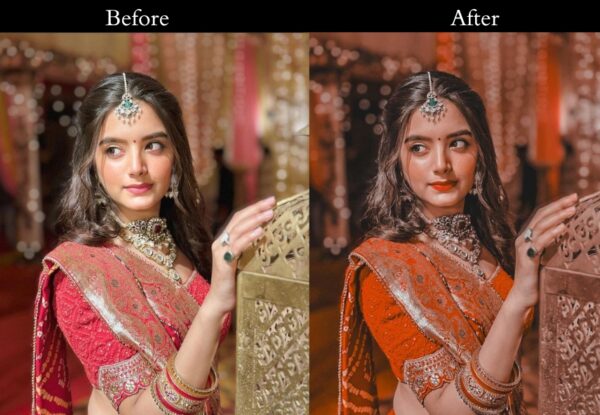 100+ Indian Wedding Presets - Image 31