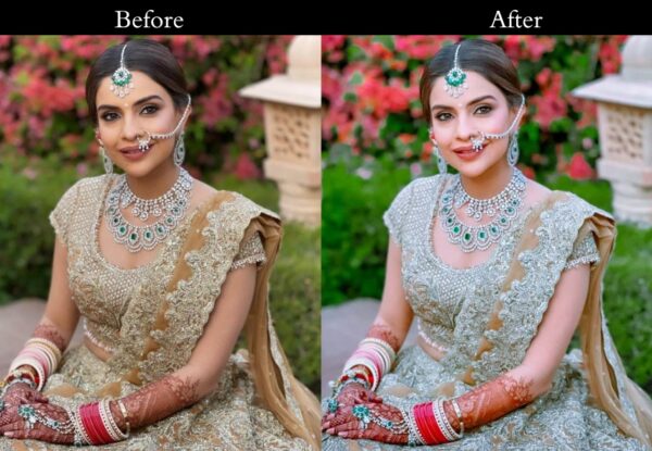 100+ Indian Wedding Presets - Image 13