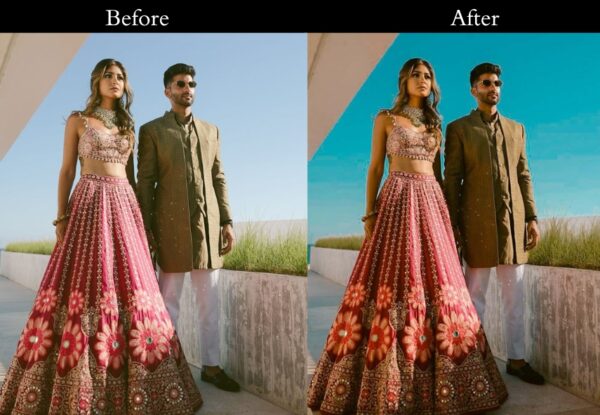 100+ Indian Wedding Presets - Image 16