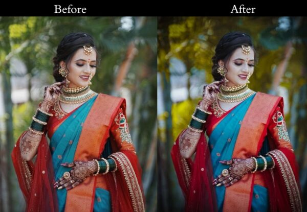 100+ Indian Wedding Presets - Image 36