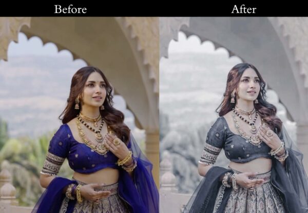 100+ Indian Wedding Presets - Image 19