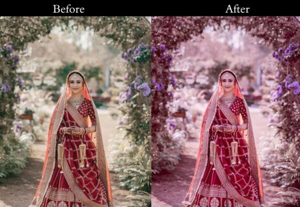 100+ Indian Wedding Presets - Image 27