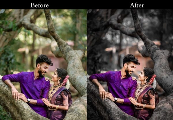 100+ Indian Wedding Presets - Image 17