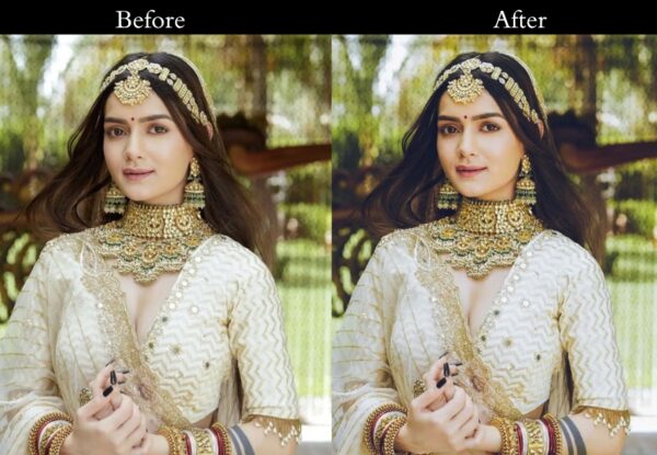 100+ Indian Wedding Presets - Image 33