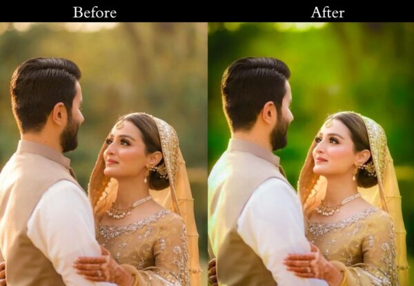 100+ Indian Wedding Presets - Image 4
