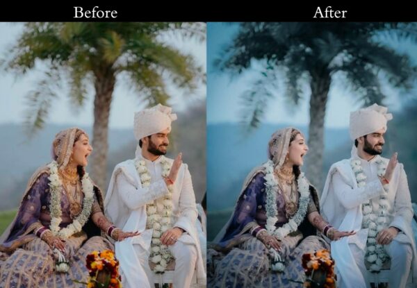 Wedding Outdoor Photography Preset