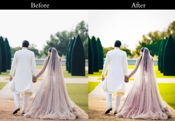 100+ Indian Wedding Presets - Image 32