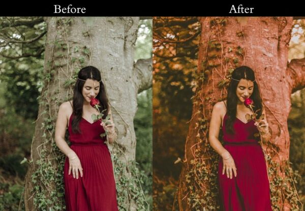 30+ Orange Teal Presets - Image 22