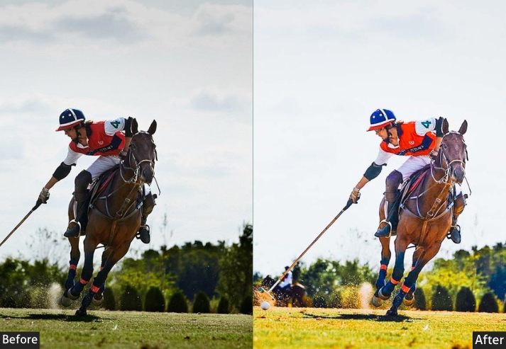 Contrast Sport