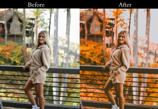 30+ Orange Teal Presets - Image 5