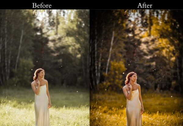 30+ Orange Teal Presets - Image 8