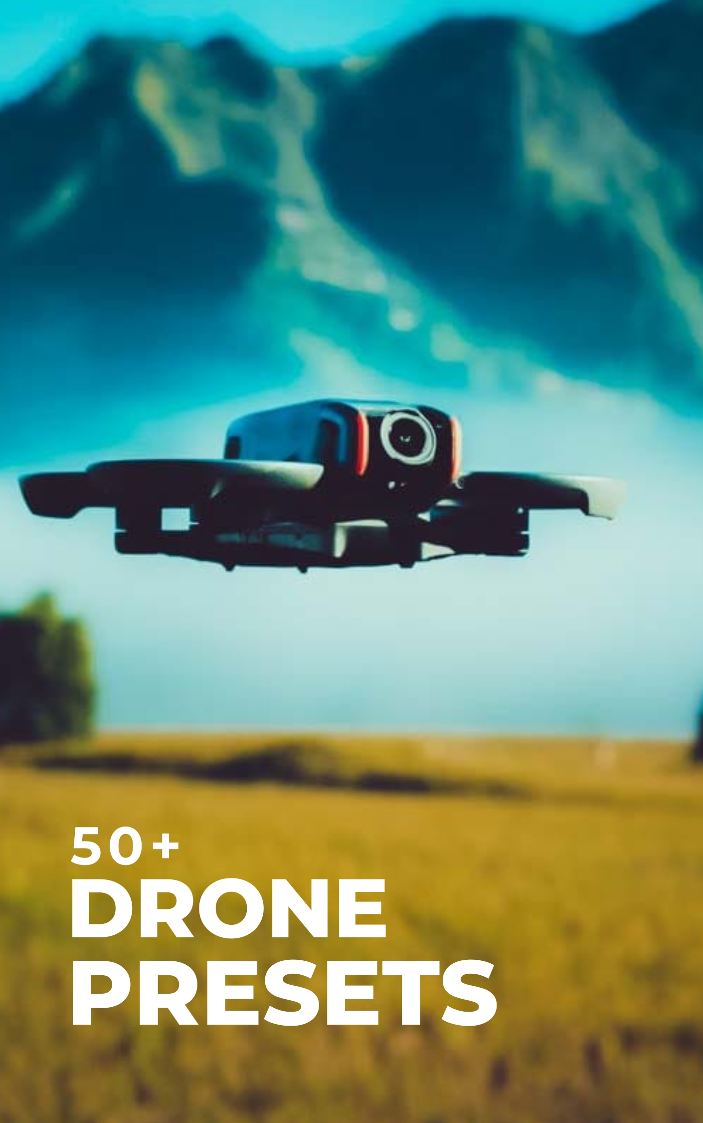 26
