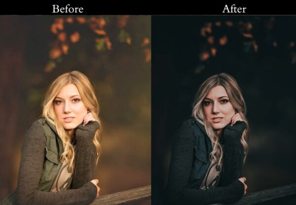 100+ Dark Presets - Image 17