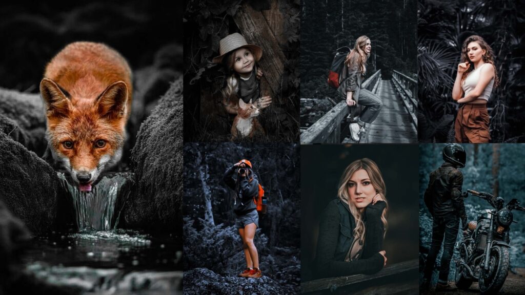 Dark Lightroom Presets