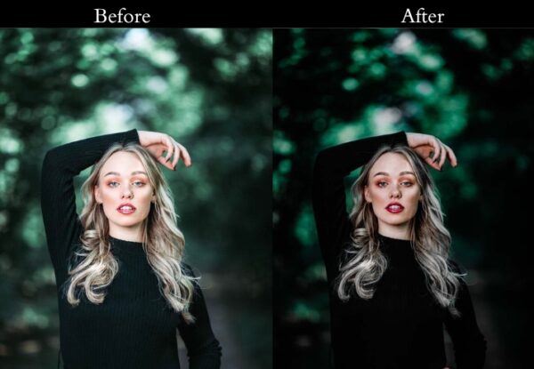100+ Dark Presets - Image 3