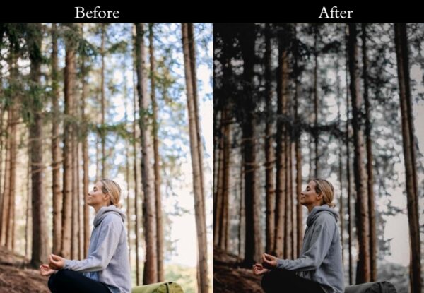 100+ Dark Presets - Image 11
