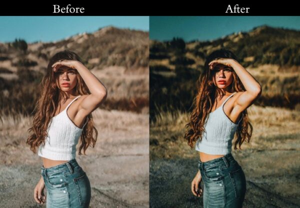 100+ Dark Presets - Image 28