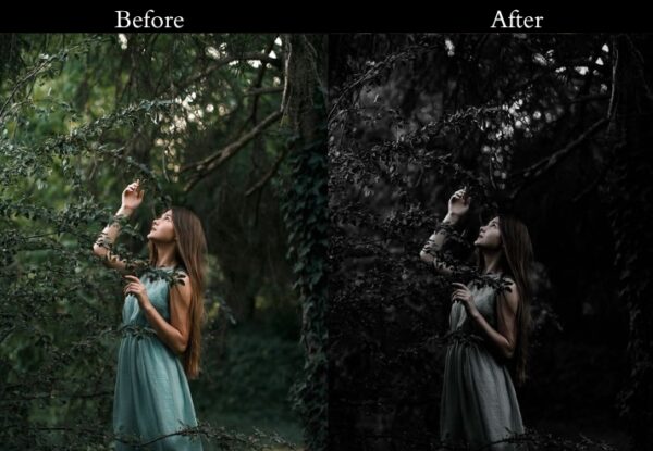 100+ Dark Presets - Image 40