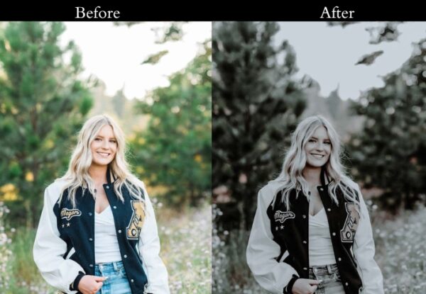 100+ Dark Presets - Image 26