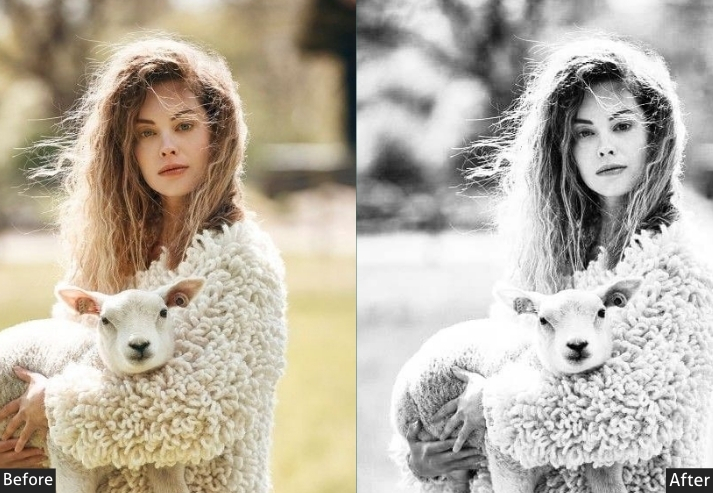 100+ Vintage Presets Bundle - Image 134