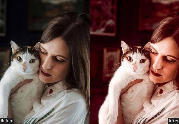 Classic Red Pet